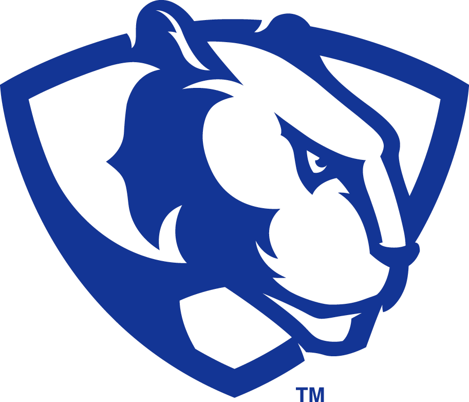 Eastern Illinois Panthers 2015-Pres Partial Logo v3 diy iron on heat transfer
